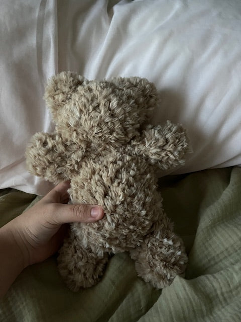 Cuddly Fluffy Bear