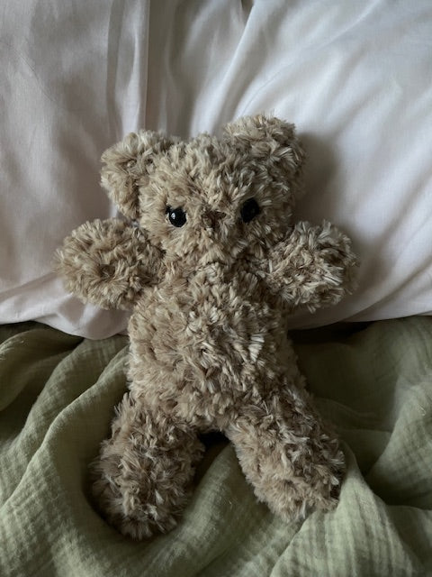 Cuddly Fluffy Bear